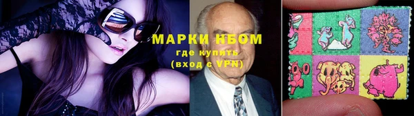 прущие грибы Алексеевка