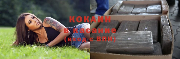 индика Абинск