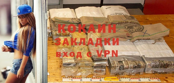 индика Абинск