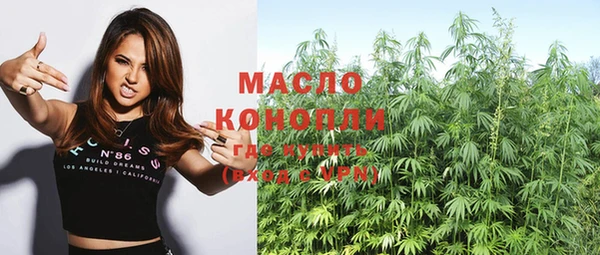 индика Абинск