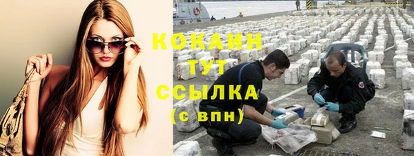 индика Абинск