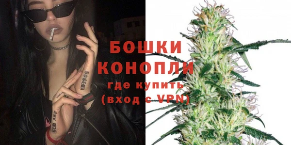 PSILOCYBIN Новозыбков