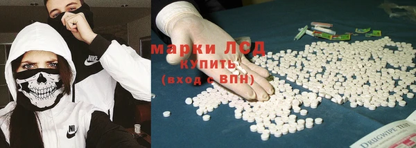 PSILOCYBIN Новозыбков