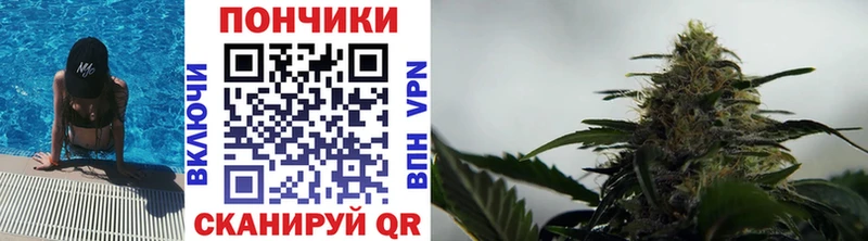 магазин    мега   МАРИХУАНА гибрид  Вытегра 